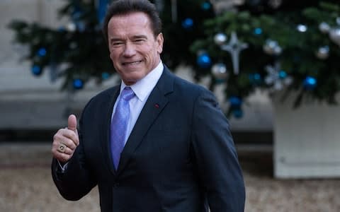 Arnold Schwarzenegger arrives at the Elysee Palace for a lunch as part of the One Planet Summit on December 12 - Credit: Aurelien Morissard/Getty