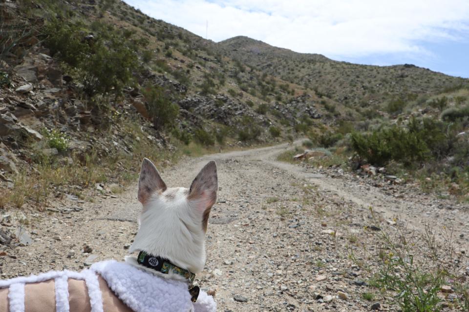 Lupe poses at the start of the trail