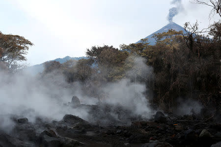 An area affected by a lahar from Fuego volcano is seen in El Rodeo, Guatemala June 13, 2018. REUTERS/Jose Cabezas