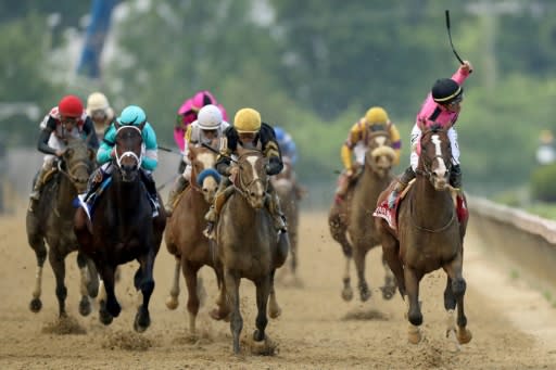 Jockey Tyler Gaffalione celebrates after crossing the finish line on War of Willto win the 144th Preakness Stakes