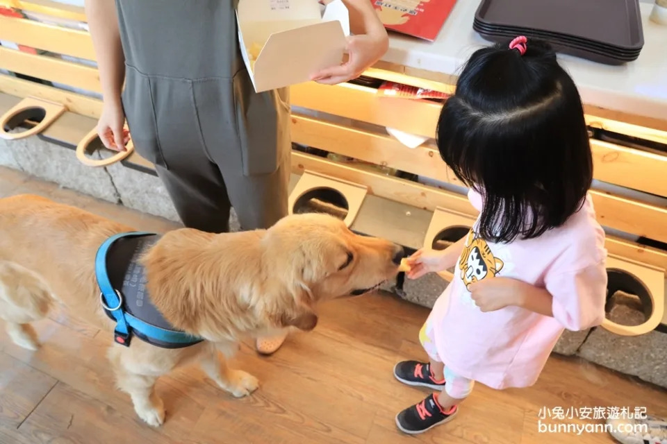 台中景點｜獵犬不打獵寵物餐廳