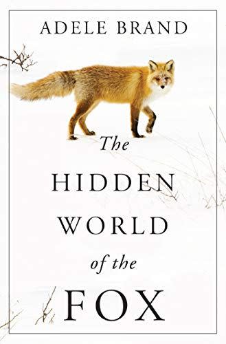 12) The Hidden World of the Fox