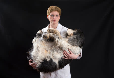 Cathy Vertongen, a taxidermist, poses with a stuffed dog at her workshop in Aalst, Belgium April 29, 2016. REUTERS/Yves Herman