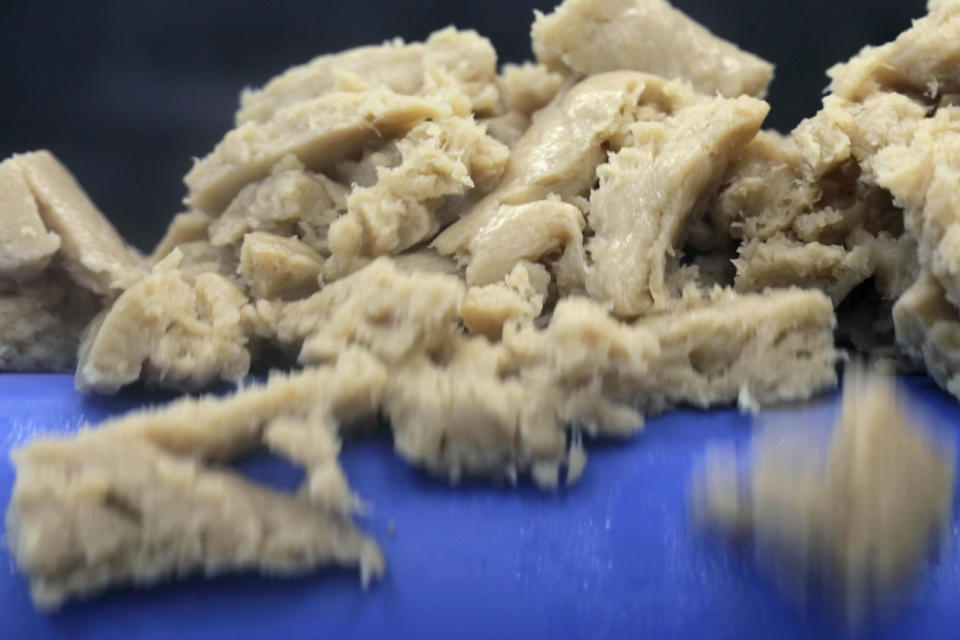 Cultivated chicken is processed at the Believer Meats facility in Rehovot, Israel on Feb. 13, 2023. The company is one of over 150 startups aiming to use cell biology to reduce the environmental impact of the world’s ever-increasing demand for meat and change global protein production. (AP Photo/Emma H. Tobin)