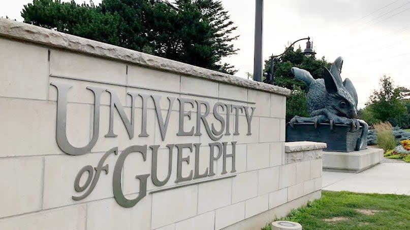 The University of Guelph says it's looking at options to house first-year students. More than 1,300 students are on a waitlist to live on campus and the city's mayor says that's unacceptable. (Kate Bueckert/CBC - image credit)