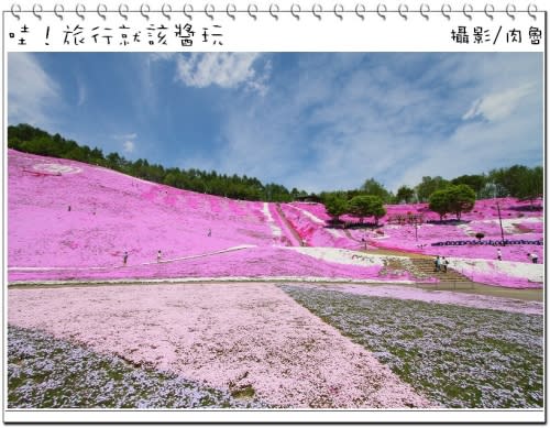 東藻琴芝櫻公園怒放超級滿開 撲天蓋地席捲而來的粉紅浪漫櫻花雪 一生一定要來朝聖一次的日本秘境