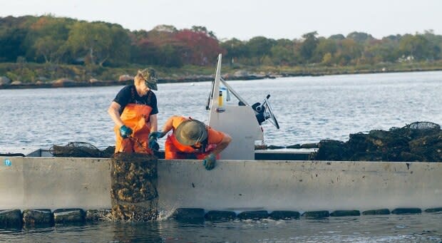 Shellfish Growers Climate Coalition