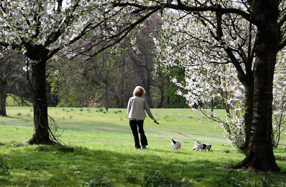 A woman has been fined for having a dog lead that was too long (File picture: PA)