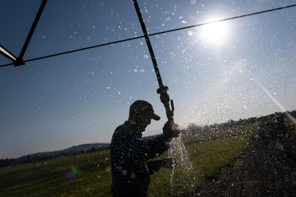 Western Drought Who Gets Water (Copyright 2021 The Associated Press. All Rights Reserved.)