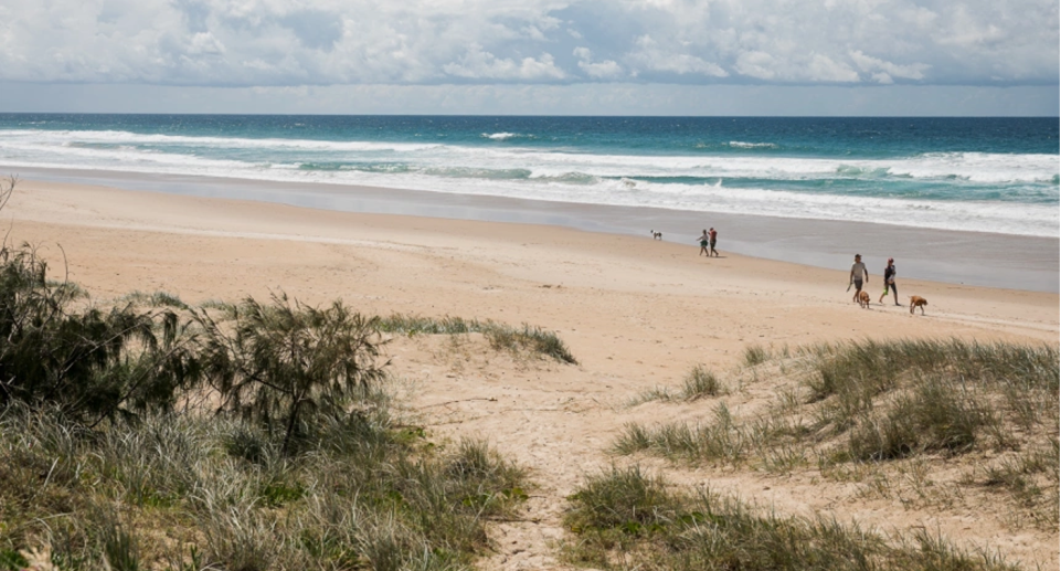 Dog walkers walk along the sand at Castaway Beach in Noosa, Queensland. 