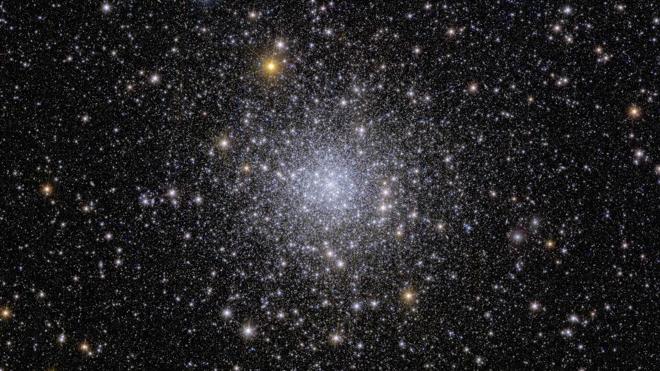 Euclid s view of globular cluster NGC 6397 pillars