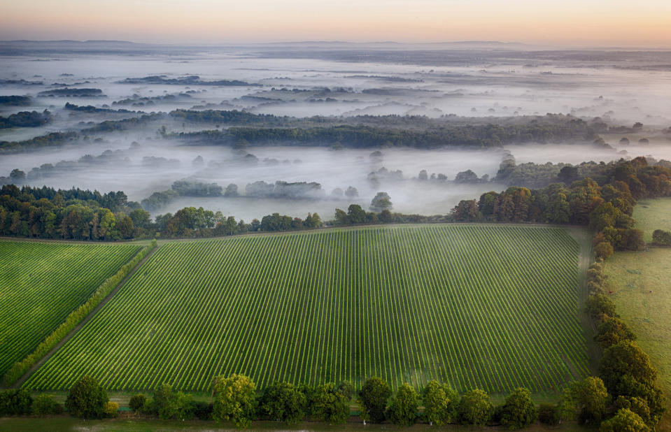 Mist sits in fields on the South Downs of England.