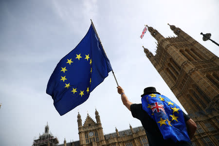 FILE PHOTO: An anti-Brexit demonstrator waves flags outside the Houses of Parliament, in London, Britain, September 10, 2018. REUTERS/Hannah McKay