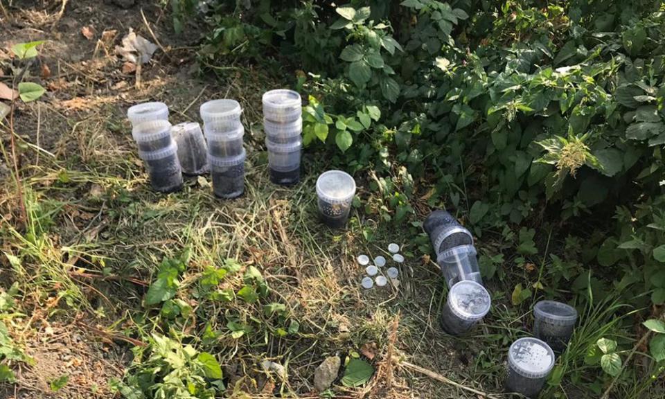 Ten pots that contained three young Brazilian bird-eating spiders in a car park in Somercotes, Derbyshire.