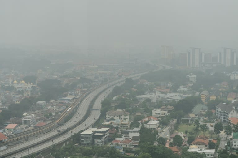 Facing growing pressure, Indonesia earlier this month agreed to accept international help after failing for weeks to douse the fires from slash-and-burn farming that have shrouded angry neighbours Malaysia and Singapore in smoke for weeks