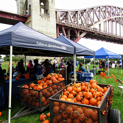 6) Randall's Island Harvest Festival