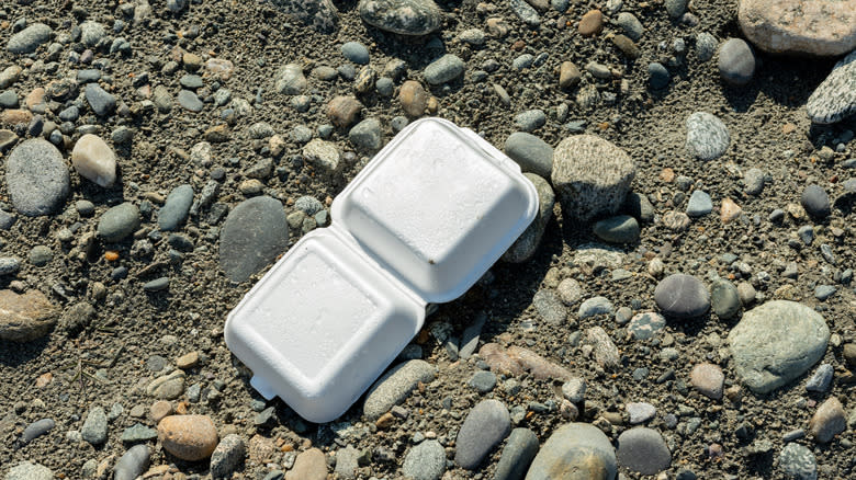 Styrofoam container lying on the ground