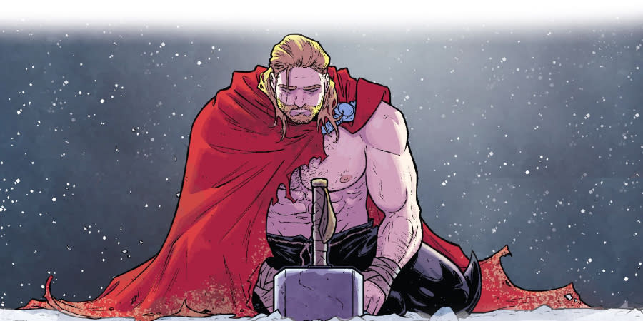 thor holding a hammer