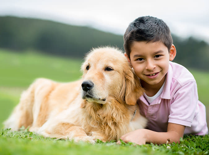 The Very Best Kid-Friendly Dogs for Your Growing Family