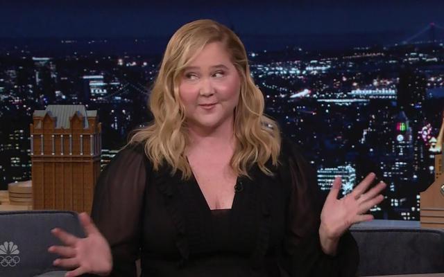 Amy Schumer slams critics of her 'puffier than normal' face