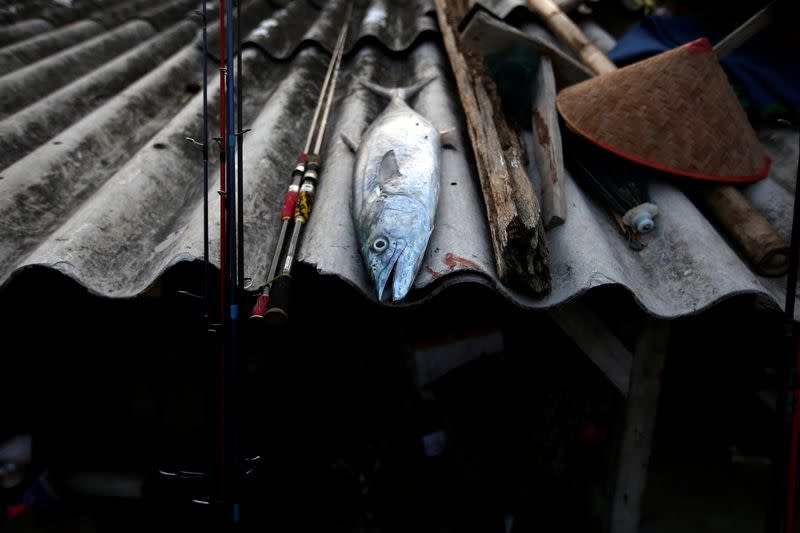 A fish caught by fisherman lies on a roof at Tambaklorok village in Semarang