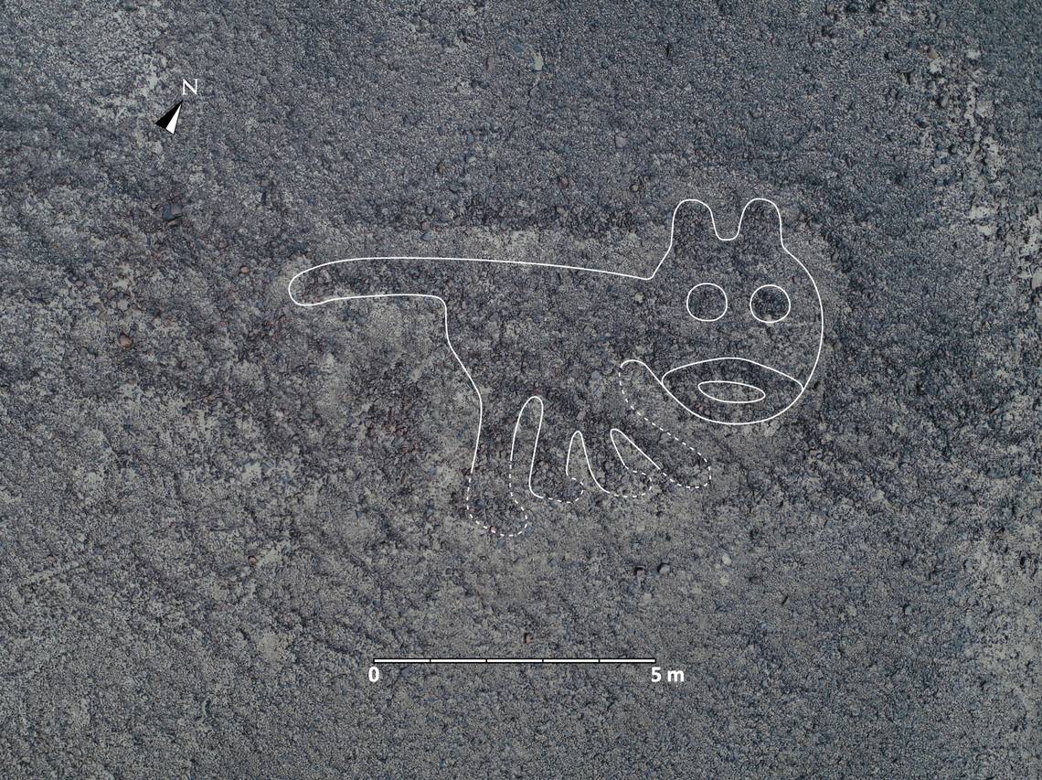 A geoglyph of a cat.