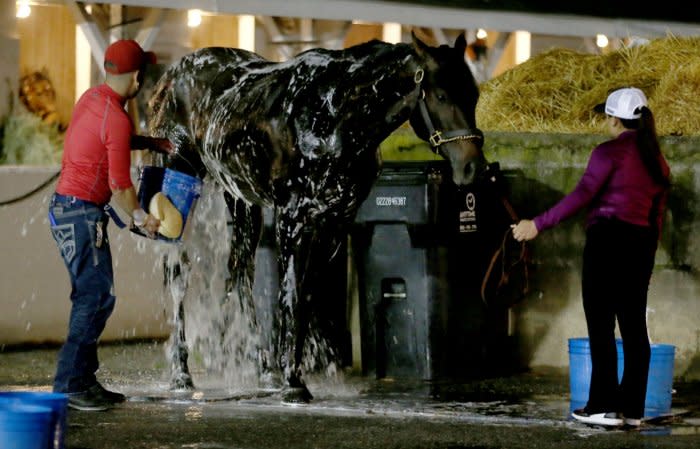 Stables prepare for the Kentucky Derby at Churchill Downs