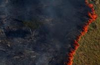 Burning forest is seen during "Operation Green Wave" conducted by agents of the Brazilian Institute for the Environment and Renewable Natural Resources, or Ibama, to combat illegal logging in Apui, in the southern region of the state of Amazonas, Brazil, August 4, 2017. REUTERS/Bruno Kelly