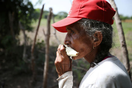 Maria Jesus Lopez bites a corn ear in a drought-affected farm near the town of San Marcos Lempa, El Salvador, July 25, 2018. REUTERS/Jose Cabezas