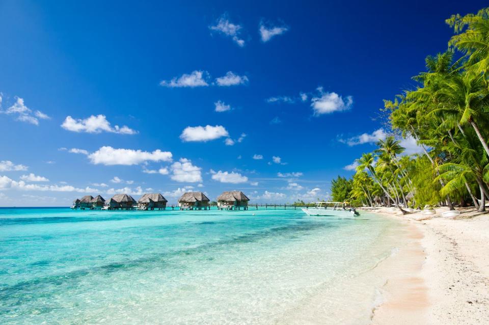 tikehau island, tahiti veranda most beautiful beaches in the world