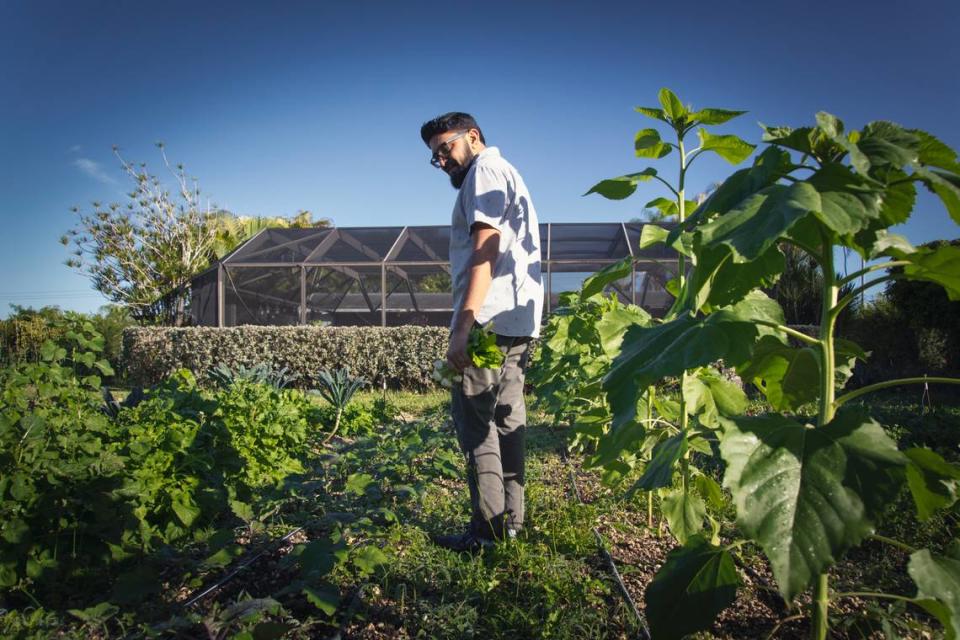 Chef Niven Patel at his farm in Homestead. He’ll be opening a new location for Ghee Indian Kitchen in Wynwood.