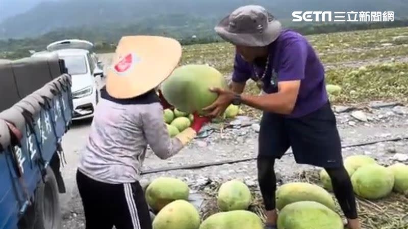 受到地震影響，花蓮西瓜銷量大跌。（圖／記者呂彥攝影）