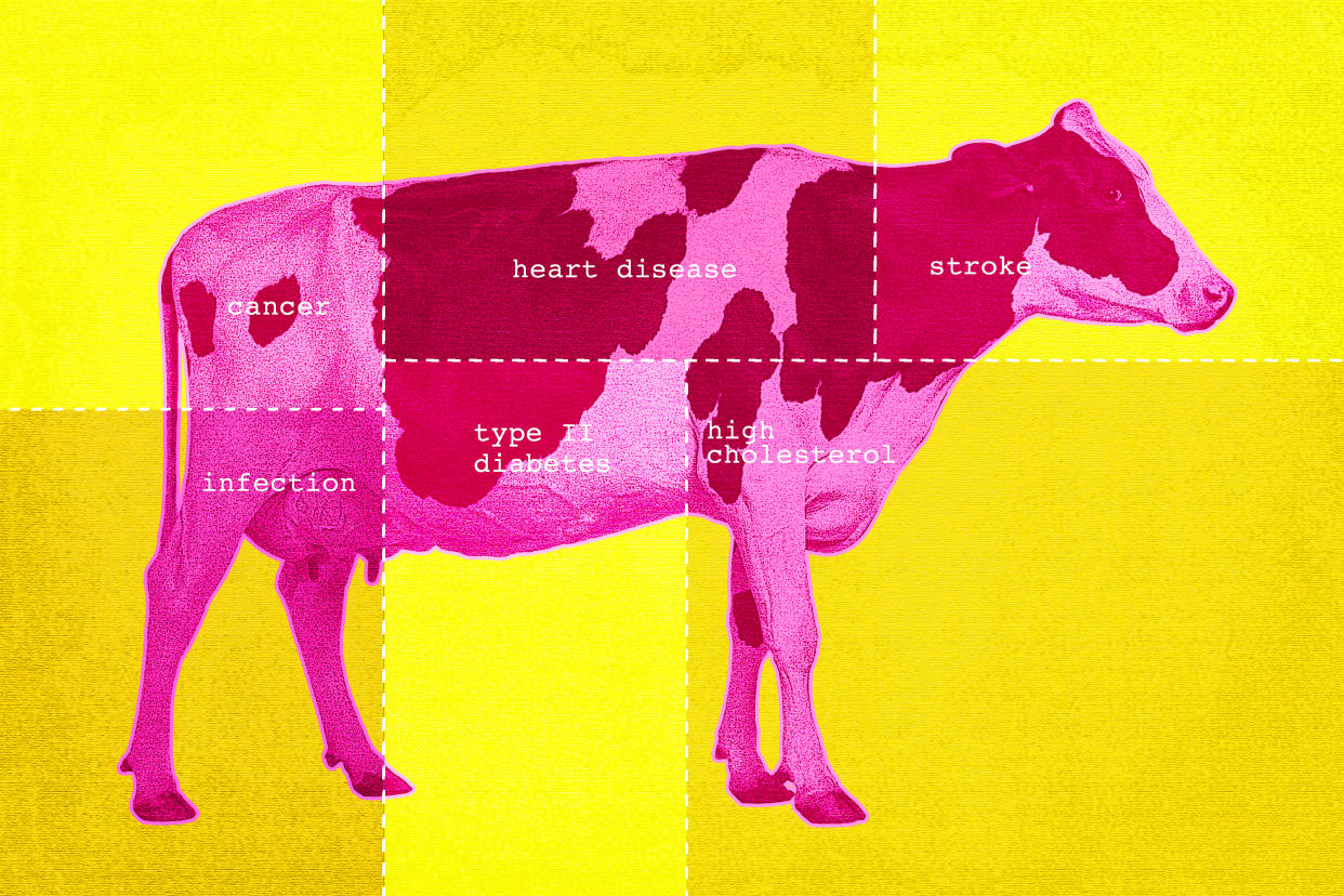 Photo illustration of a cow with health conditions written on it: cancer, heart disease, stroke, infection, type 2 diabetes and high cholesterol.
