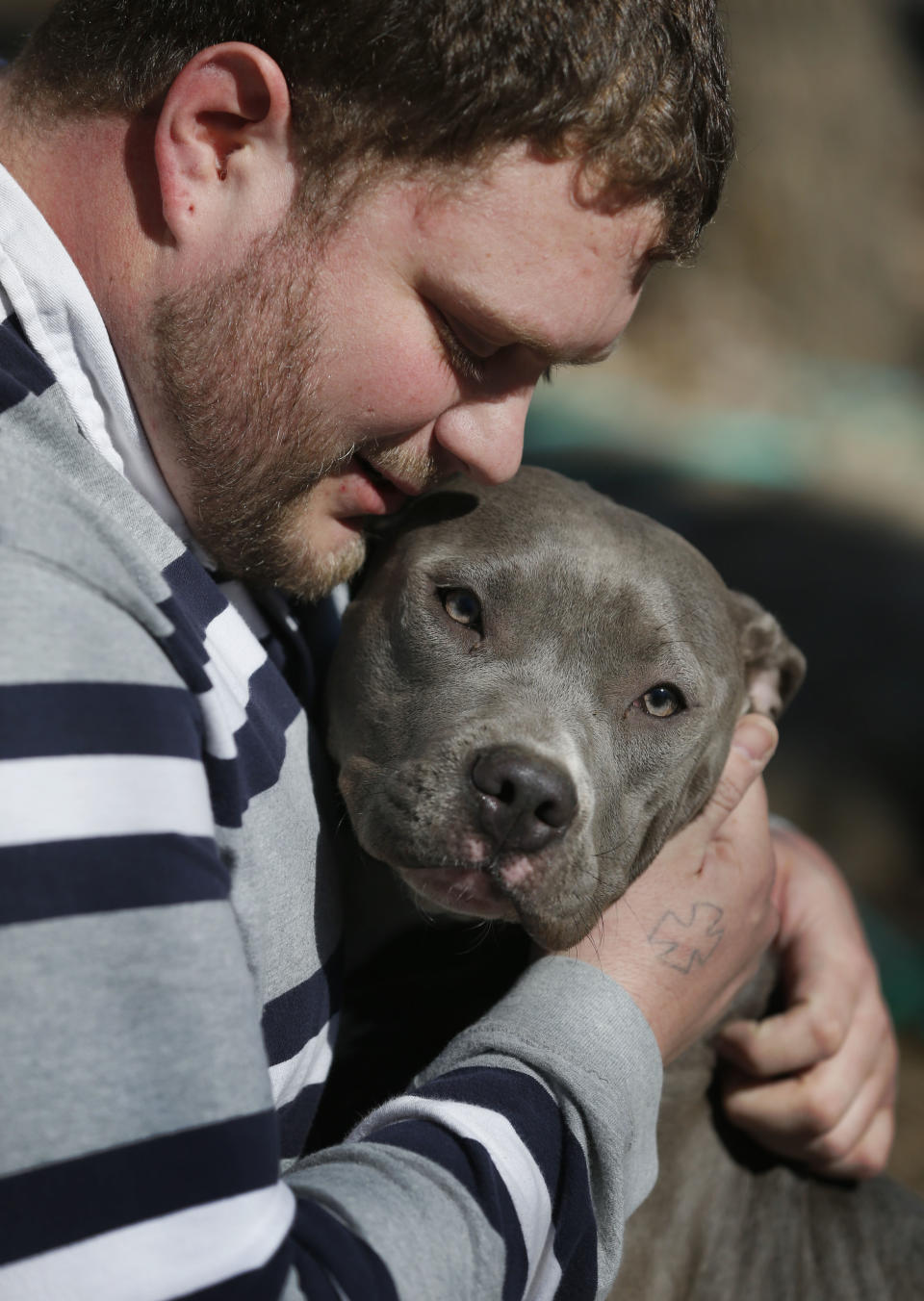 Cameron Younglove plays with a pit bull terrier named Sooke at his kennels near Eudora, Kan., Sunday, March 9, 2014. The kennel raises their dogs indoors in a family environment and are socialized with other animals to ensure good temperament. (AP Photo/Orlin Wagner)