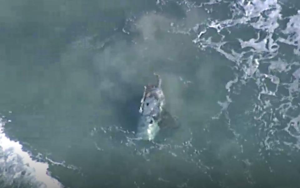 The wreckage police believe to be the missing plane off the coast of South Stradbroke Island.