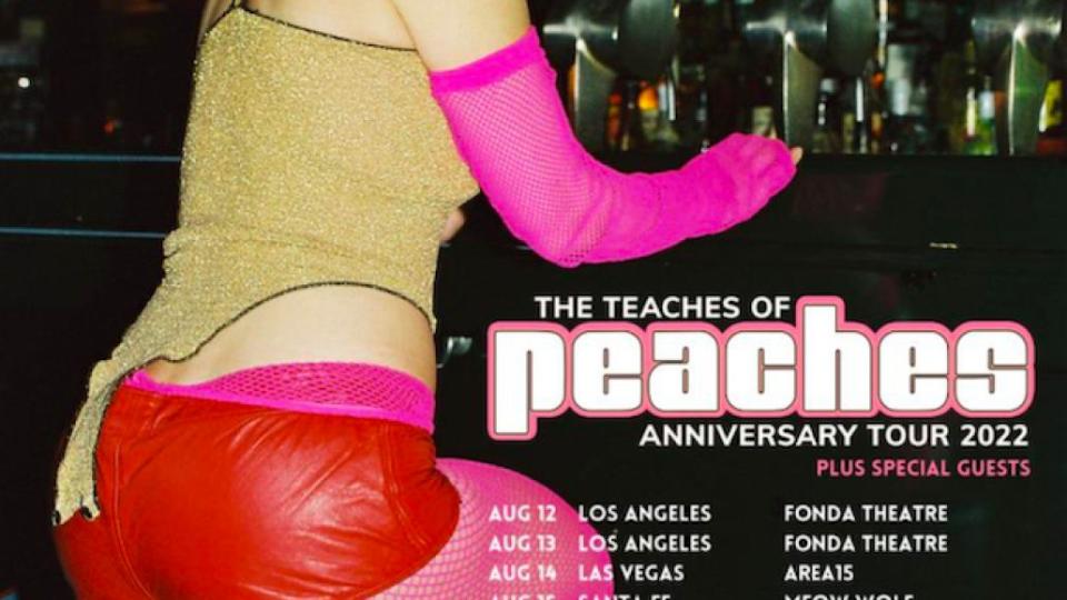 Peaches Teaches of Peaches 20th Anniversary Tour Poster New Dates August 2022 Tickets