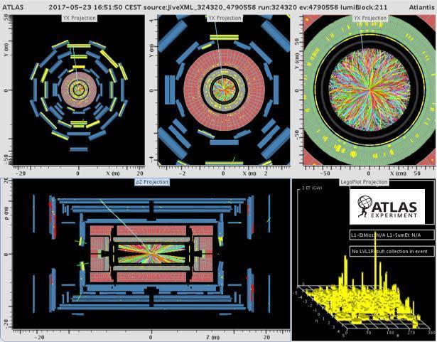 CERN2017Muon