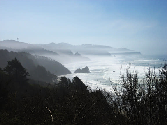 Fog lends a creepy air to the Oregon coast in this 2009 image.