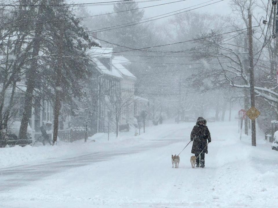 A resident walks a dog as snow falls in Portsmouth, N.H., on Jan. 7, 2024.