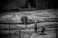 <p>Die Fotografin Jo-Anne McArthur hat für ihr Projekt Zoos in über 25 Ländern besucht und ihre Eindrücke von den Tieren festgehalten. Dabei spürte sie, wie traurig das Leben der in Gefangenschaft gehaltenen Lebewesen tatsächlich sein muss. (Bild: Jo-Anne McArthur/Caters) </p>