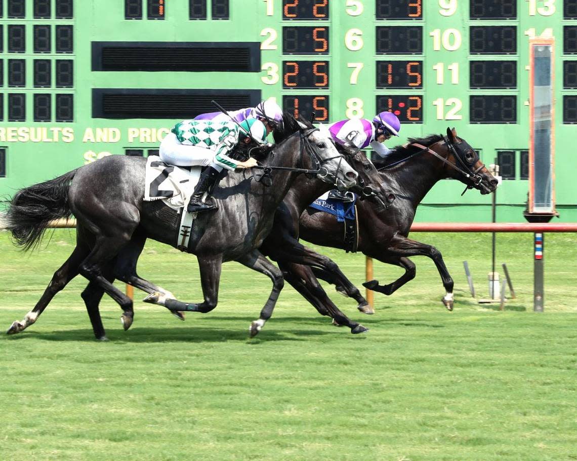 Awesome Treat edged Red Carpet Ready and Bling in Ellis Park’s $250,000 Kentucky Downs Preview Ladies Sprint on Aug. 3. All three are entered in Kentucky Downs’ $1.5 million Exacta Systems Ladies Turf Sprint on Saturday.