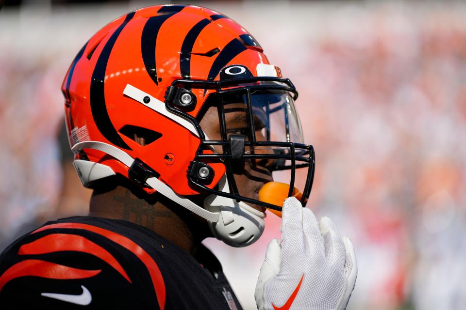 Cincinnati Bengals defensive tackle Domenique Davis is making a bid for a roster spot in training camp this year.