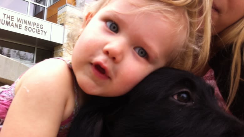 Dog days of summer means puppy love at Winnipeg Humane Society