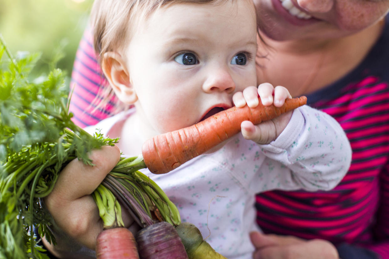 New research has revealed starting babies on a Nordic diet could be key to tackling childhood obesity. (Getty Images)