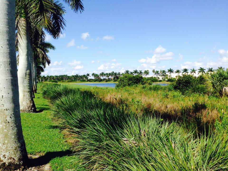 Tamarac,_FL,_USA_-_panoramio_(66)