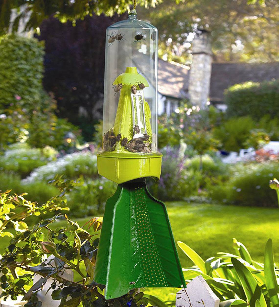 Pheromones lure stink bugs into this trap.
