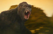 After the franchise was rested, it was time for another reboot in 2017. With Tom Hiddleston, Brie Larson and Samuel L. Jackson fronting the picture, ‘Kong: Skull Island’ is a far more graphic and vicious take on the Kongiverse, all while toeing the PG-13 line. Reflecting on the movie, Tom explained that he was drawn to the film through it’s amalgamation of “old-fashioned” ideas with a “very fresh context”. He said: “As it was pitched to me, it was a big adventure film that in lots of ways was quite old-fashioned, but with a very fresh context [and a] completely original story and characters. “Truly, I think there’s a part of all of us that wonders how we would survive on an island untouched by man. "Even better, how we’d survive on an island untouched by man and inhabited by King Kong. I’ve always loved that character, and I think he’s like a modern-day myth, an icon of cinema.” Universal were thrilled to rake in $568.6 million at the global box office.