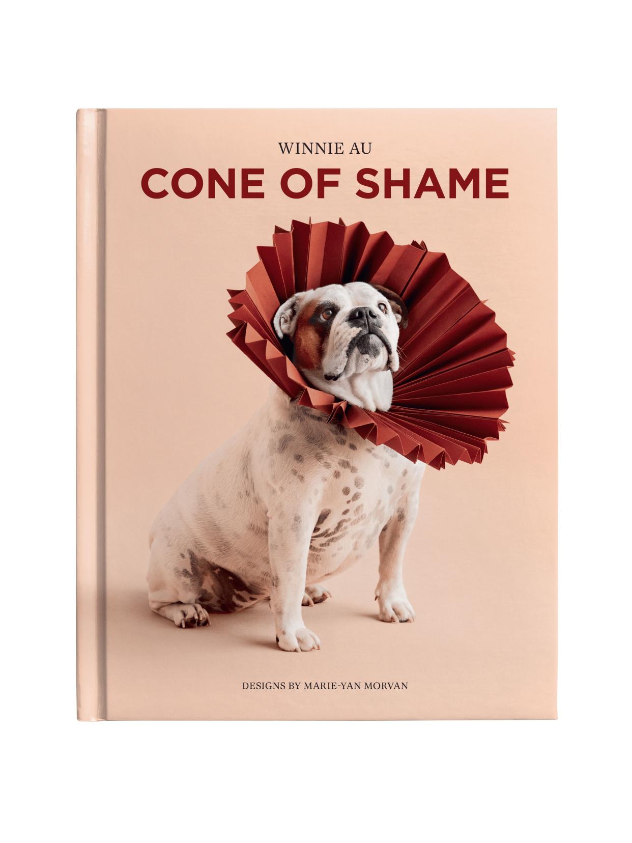 <p><a href="https://www.winniewow.com/cone-of-shame" rel="nofollow noopener" target="_blank" data-ylk="slk:Shop Now;elm:context_link;itc:0;sec:content-canvas" class="link rapid-noclick-resp">Shop Now</a></p> <p>"Cone of Shame" Coffee-Table Book</p>  <p>$40.00</p>