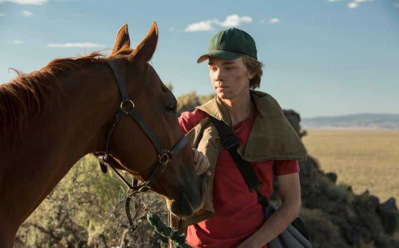 Lean On Pete: eine durchdringende und wehmütige Geschichte von einem Jungen und seinem Pferd