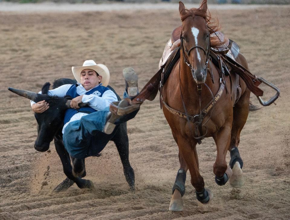 Iowa Central Community College’s Cael Hilzendeger competes in steer wrestling, a timed event where men jump off their moving horse to wrangle their arms around a steer.